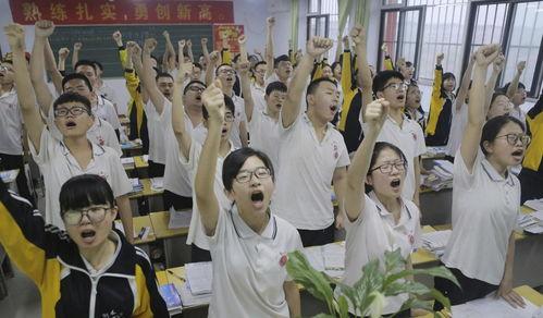 娱乐吃瓜君全球高考,揭秘娱乐界的“吃瓜”盛宴